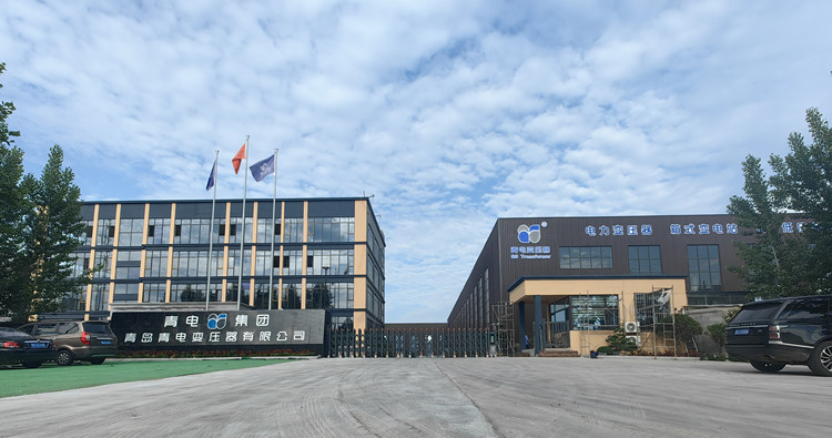 青電變壓器——集團外貌