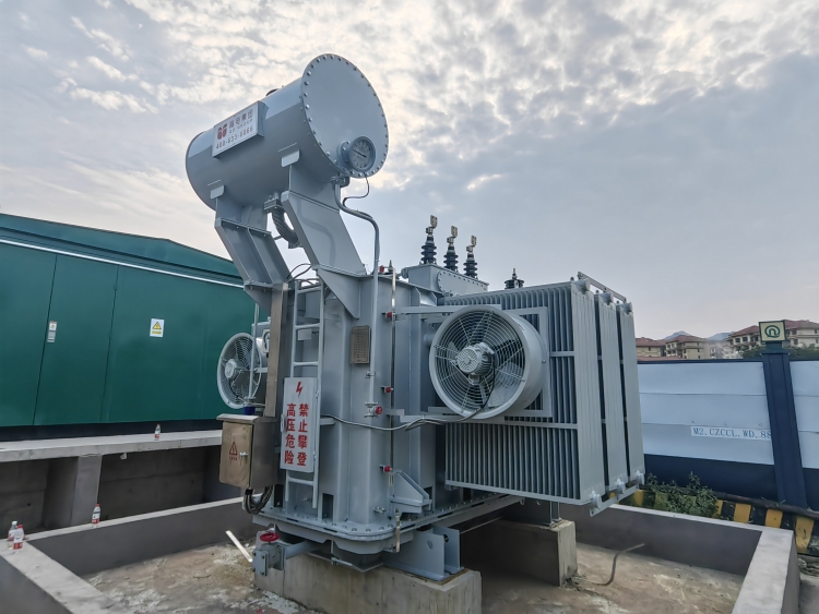 1700124843615323.jpg 1.jpg